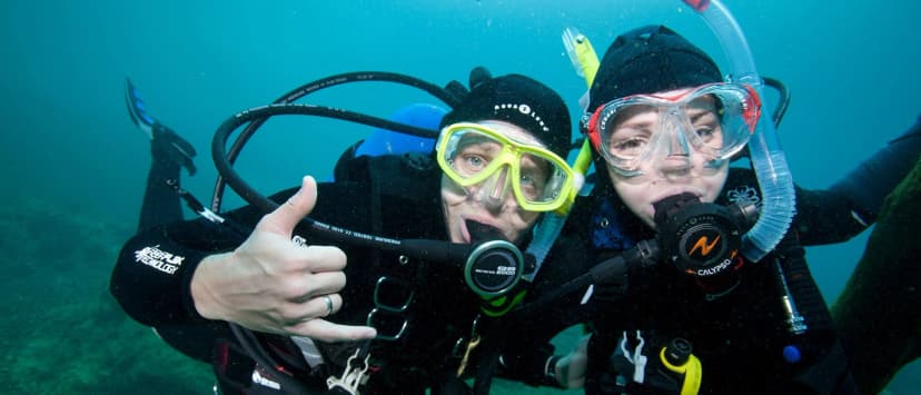 course_discover_local_diving